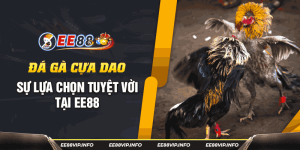 Khám Phá Đá Gà Cựa Dao Tại EE88 - Kịch Tính & Thắng Lớn