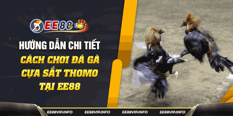 Trực Tiếp Đá Gà Cựa Sắt Thomo - Đỉnh Cao Cá Cược Tại EE88