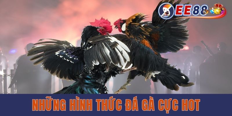 Những hình thức đá gà cực hot