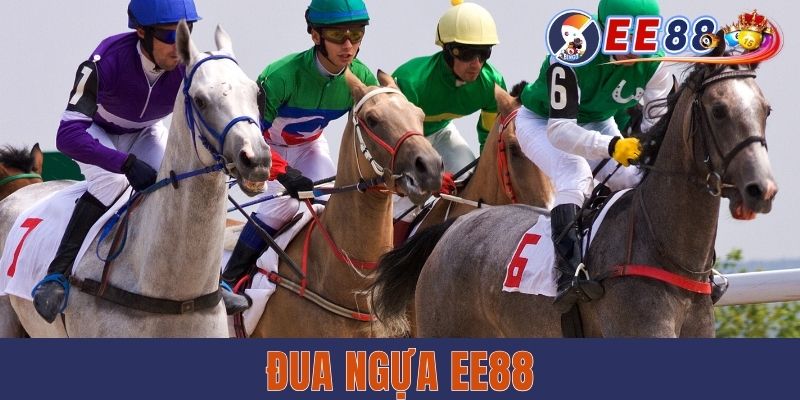 Đua Ngựa EE88 - Bộ Môn Giải Trí Mới Lạ Và Nhiều Hấp Dẫn Đua Ngựa EE88 - Bộ Môn Giải Trí Mới Lạ Và Nhiều Hấp Dẫn