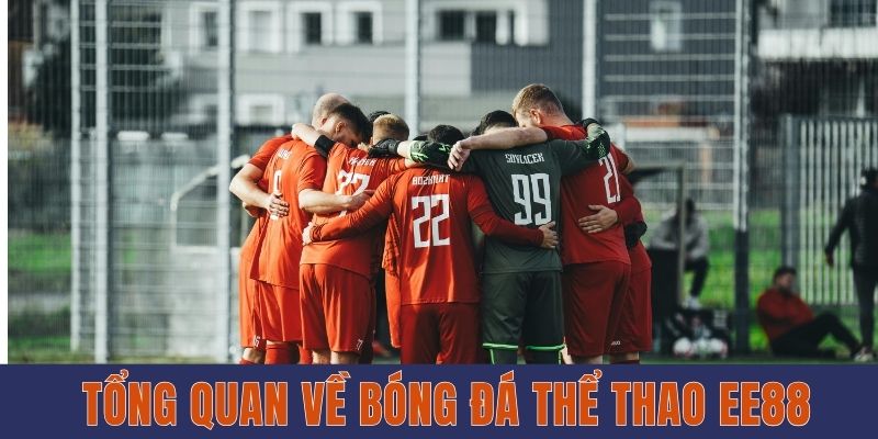 Tổng quan về bóng đá thể thao EE88