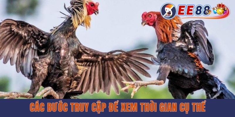 Các bước truy cập để xem thời gian cụ thể