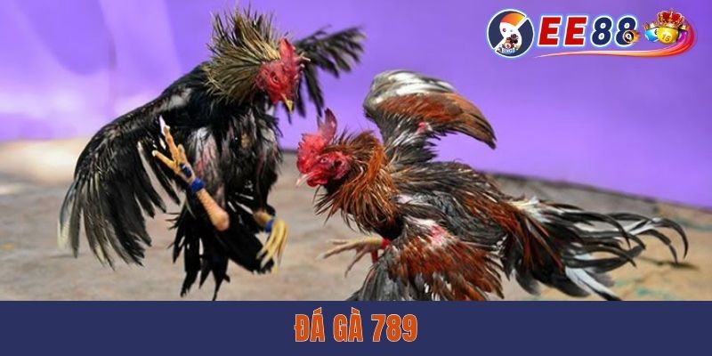 Đá Gà 789 - Mãn Nhãn Với Những Màn Chọi Kê Nảy Lửa tại ee88