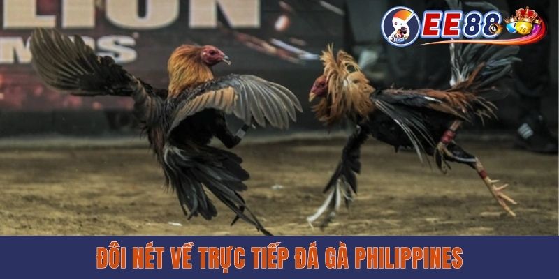 Đôi nét về trực tiếp đá gà Philippines
