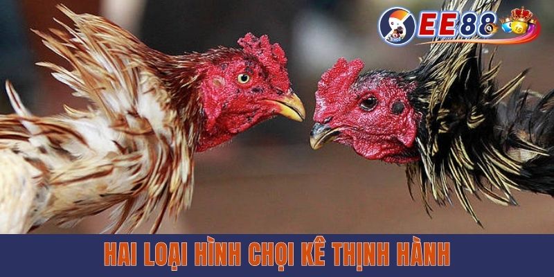 Hai loại hình chọi kê thịnh hành