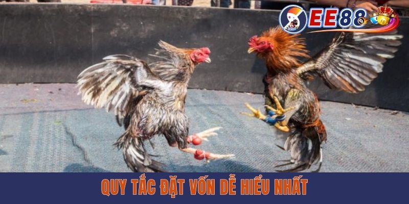 Quy tắc đặt vốn dễ hiểu nhất