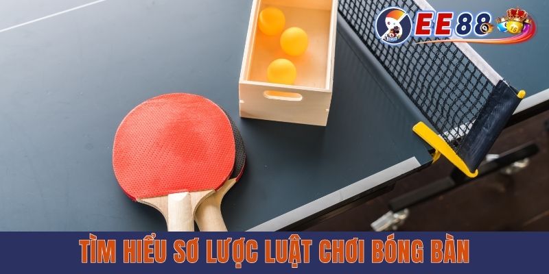 Tìm hiểu sơ lược luật chơi bóng bàn