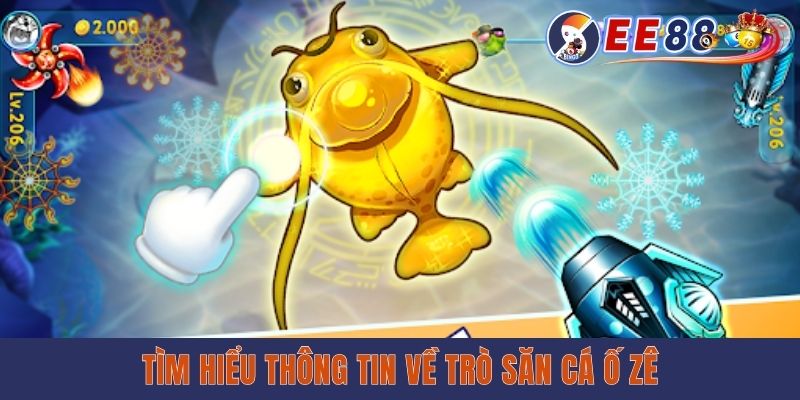 Tìm hiểu thông tin về trò săn cá Ồ Zê