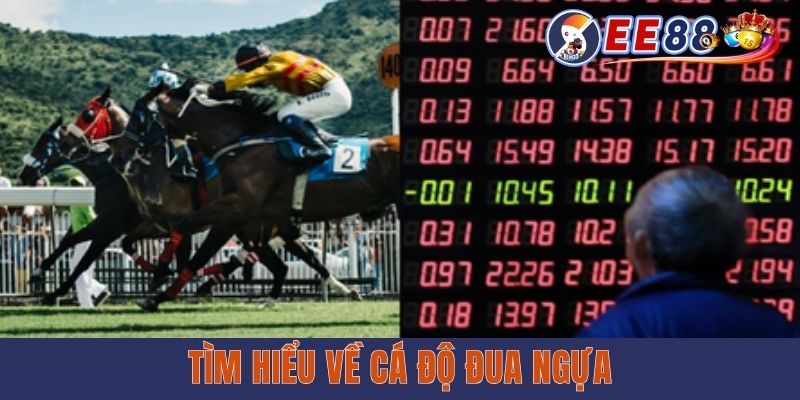 Cá Độ Đua Ngựa - Bộ Môn Cá Cược Kịch Tính, Thưởng Hấp Dẫn Tìm hiểu về cá độ đua ngựa