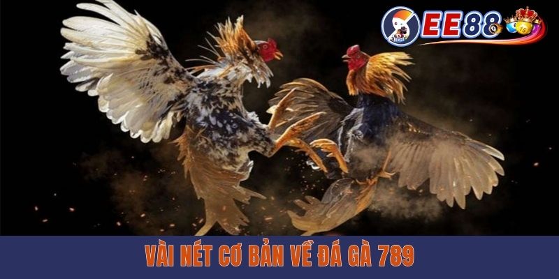 Vài nét cơ bản về đá gà 789