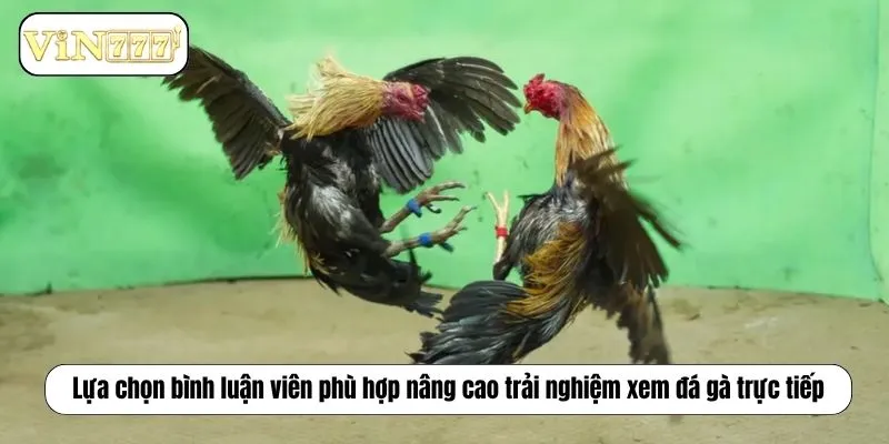 Đá Gà Trực Tiếp Bình Luận Viên Chuyên Nghiệp Tại EE88 Lựa chọn bình luận viên phù hợp nâng cao trải nghiệm xem đá gà trực tiếp